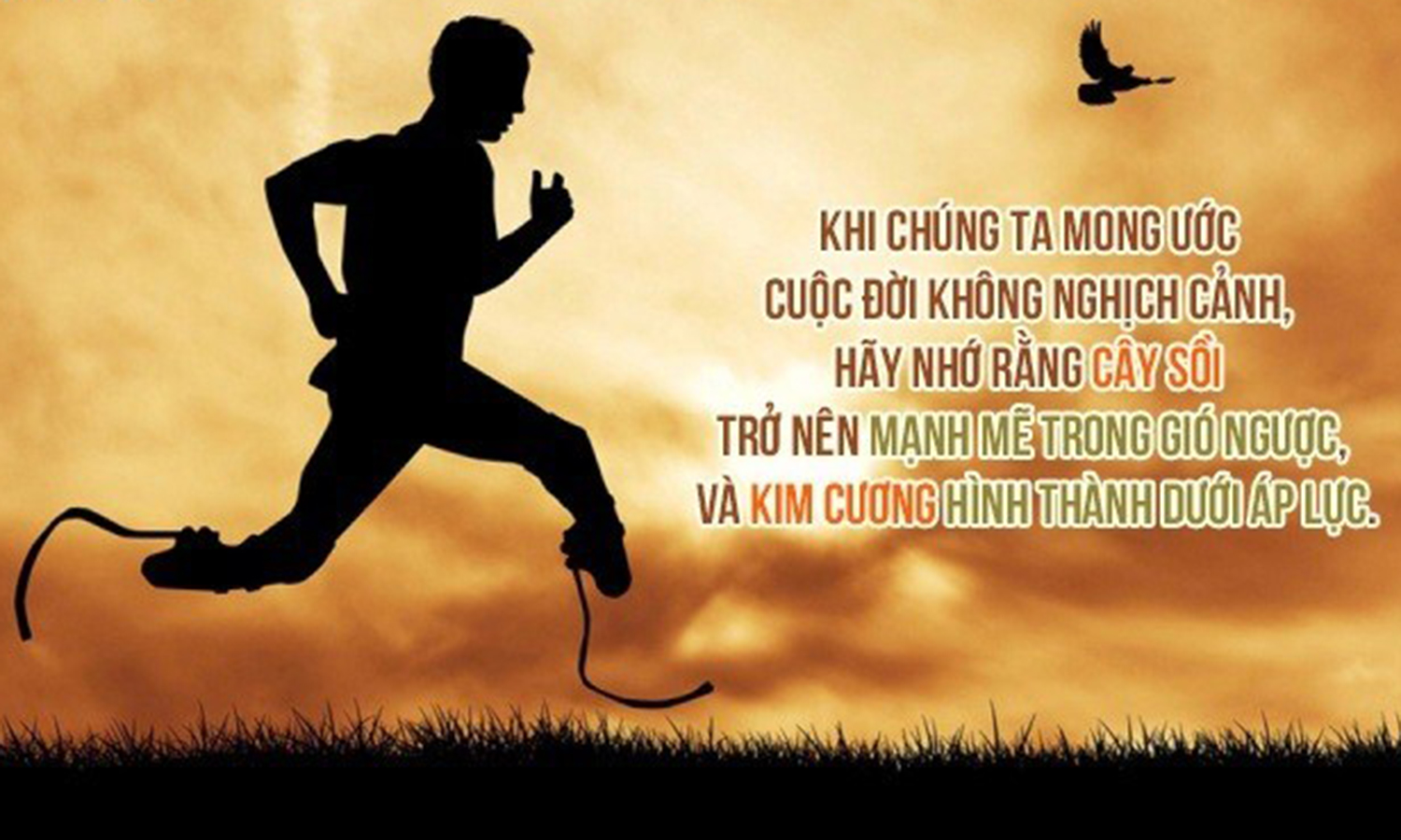 Ai dung icongnghe vn roi cho minh xin y kien that voi